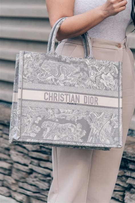 christian dior book bag dupe.